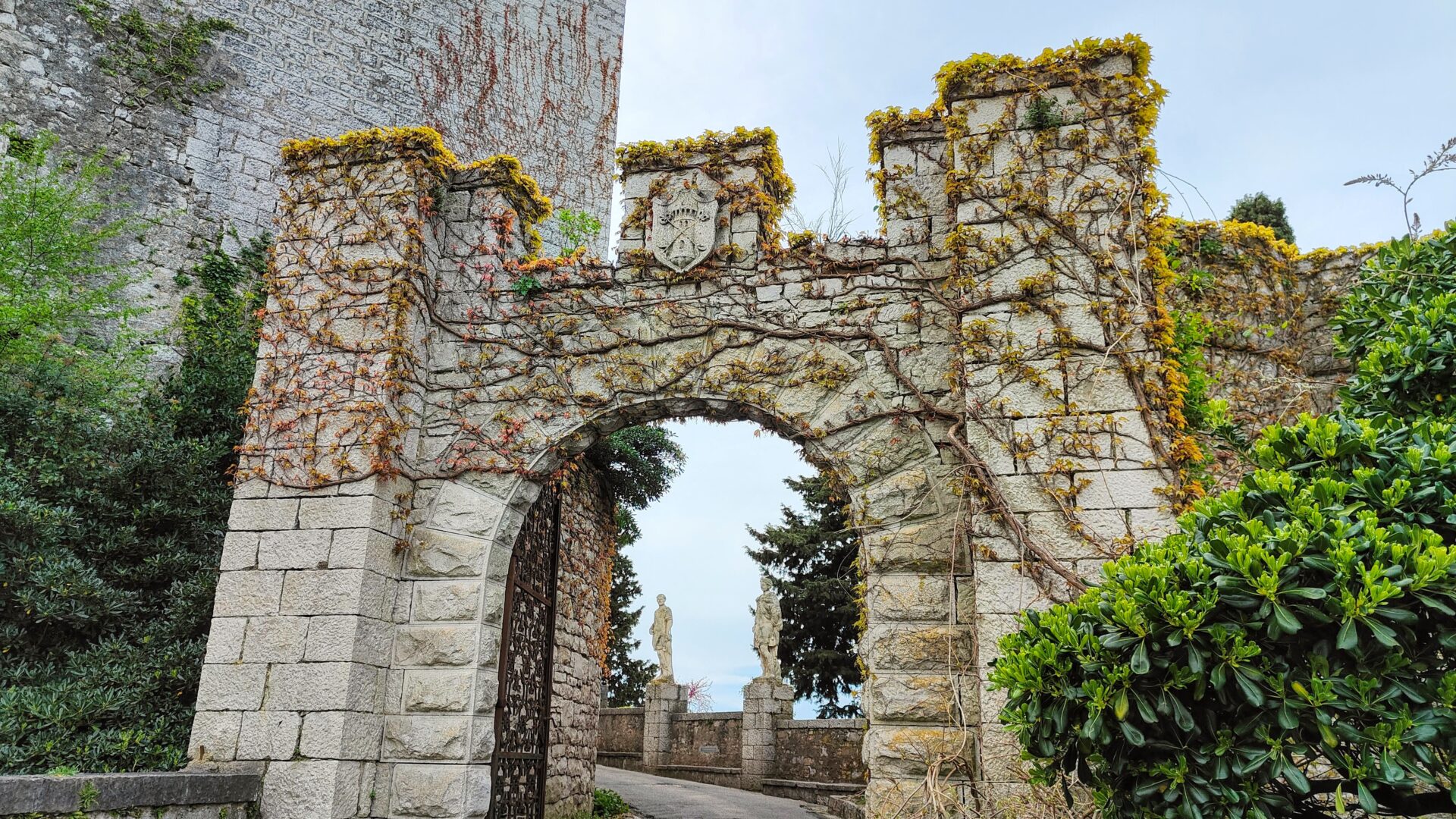 CASTELLO DI DUINO image