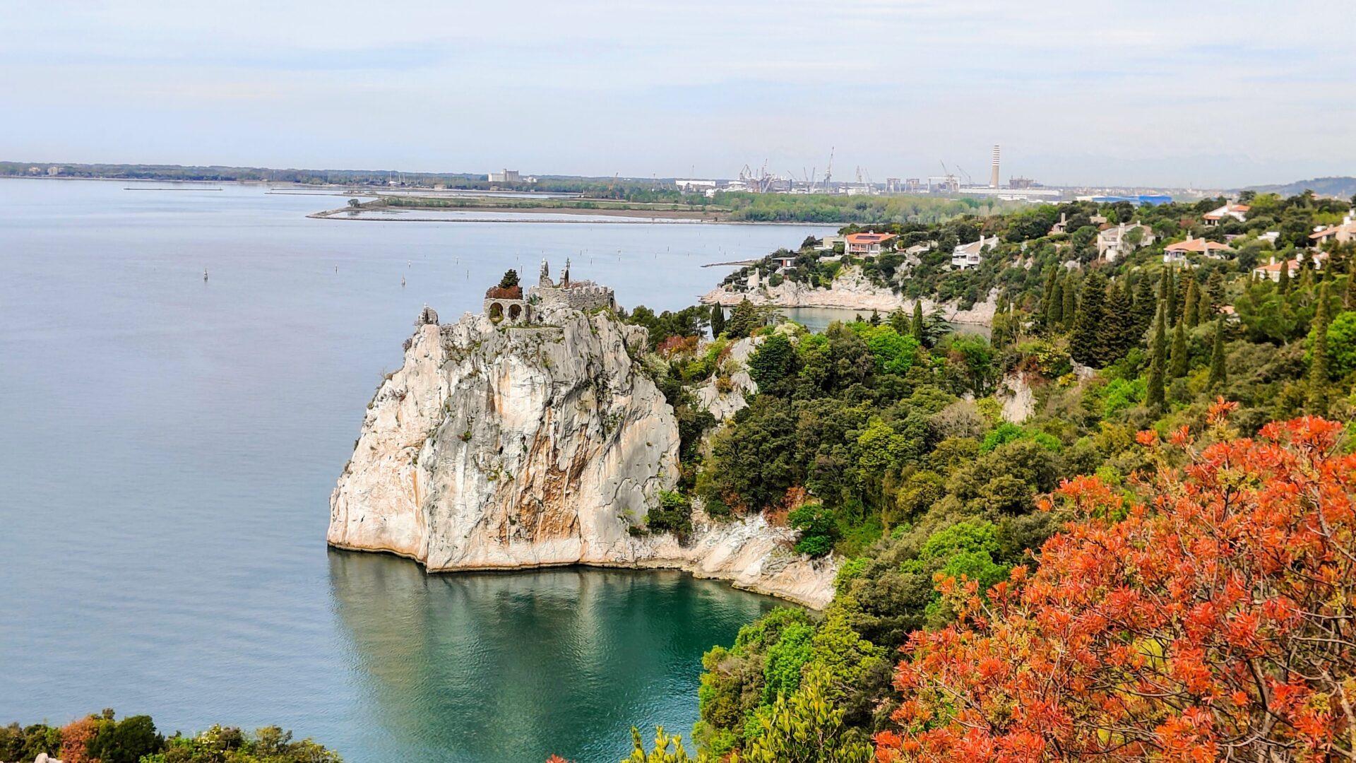 CASTELLO DI DUINO image