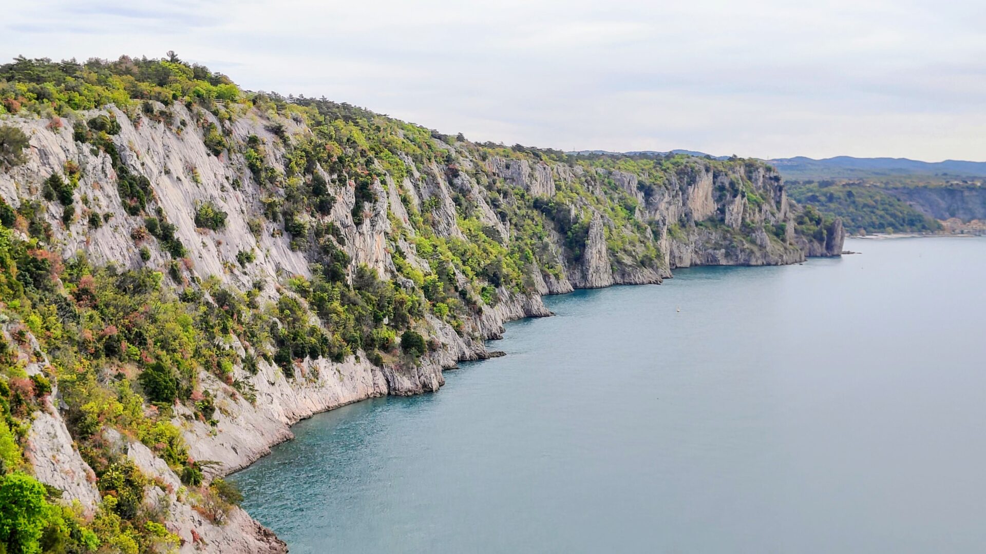 FALESIE DI DUINO image