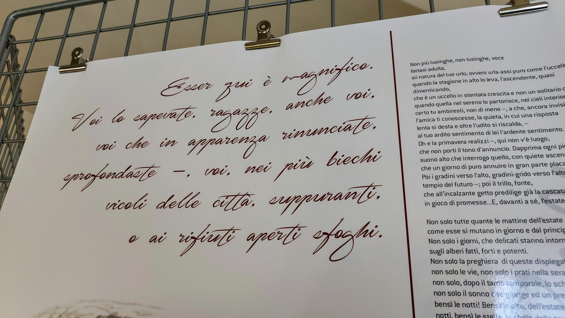 CASTELLO DI DUINO image