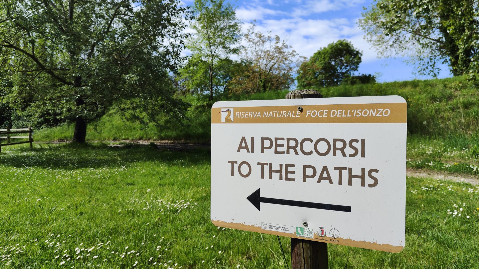 RISERVA NATURALE DELLA FOCE DELL’ISONZO image