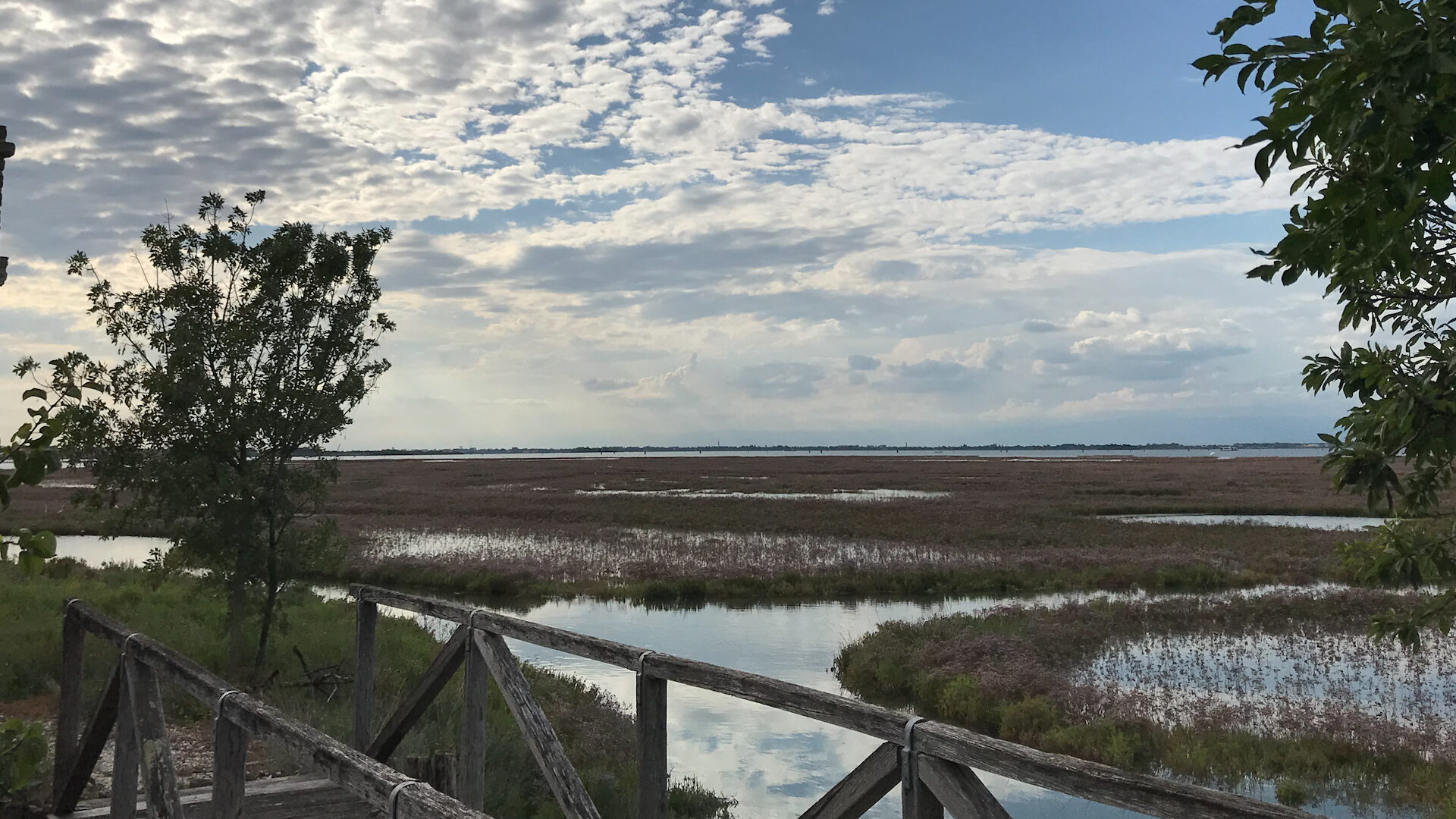 The Barene Path image