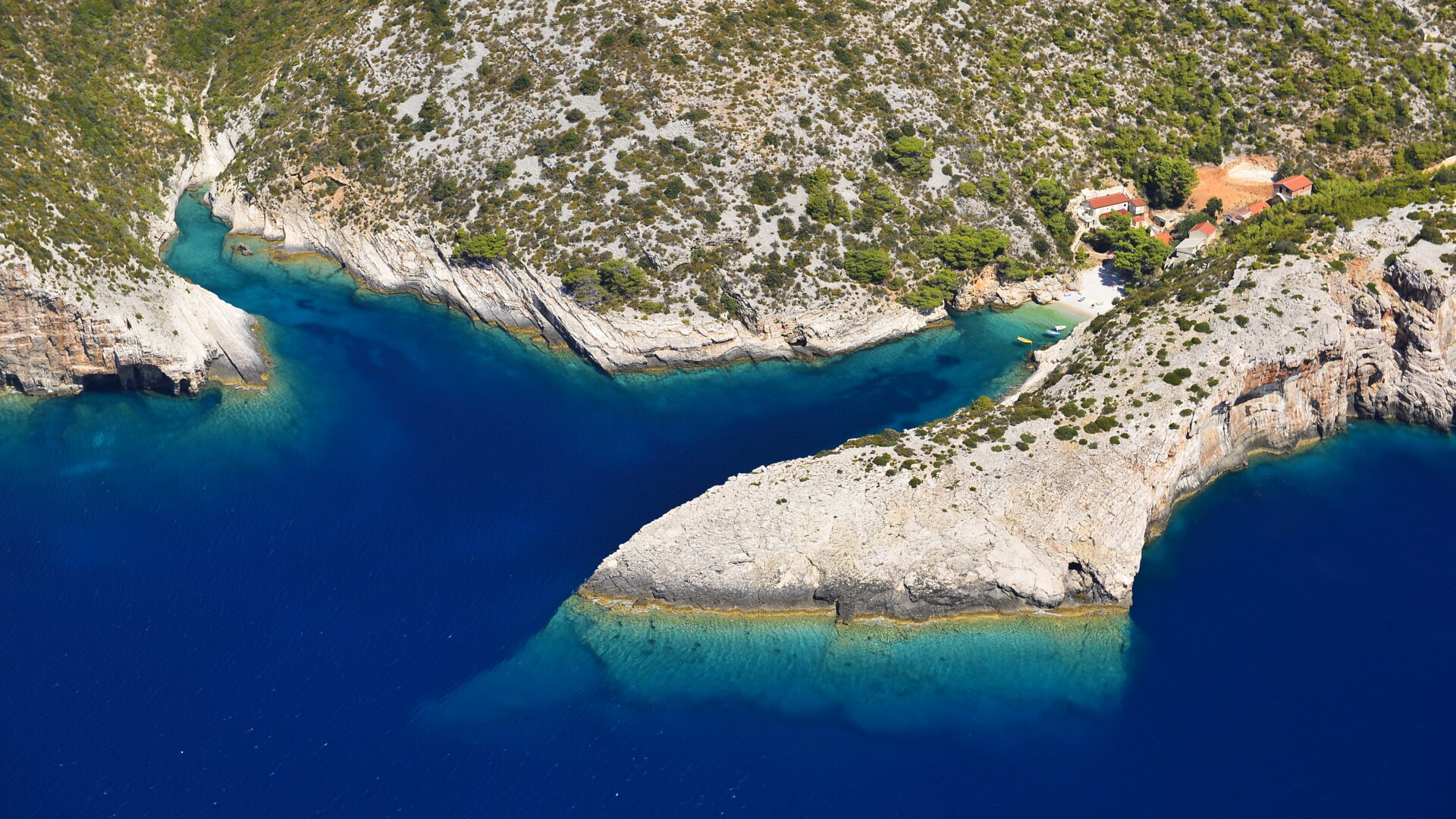 Natural beauty image