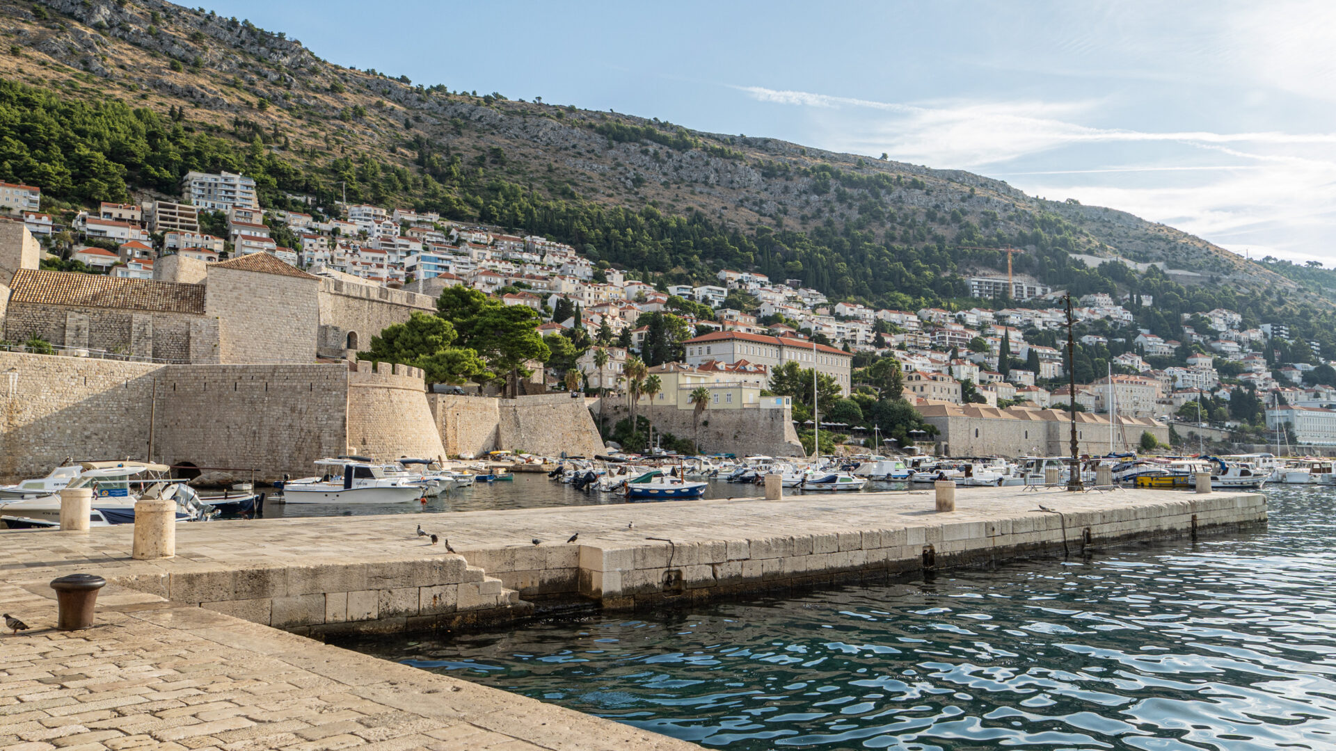 FISH MARKET DOCK image
