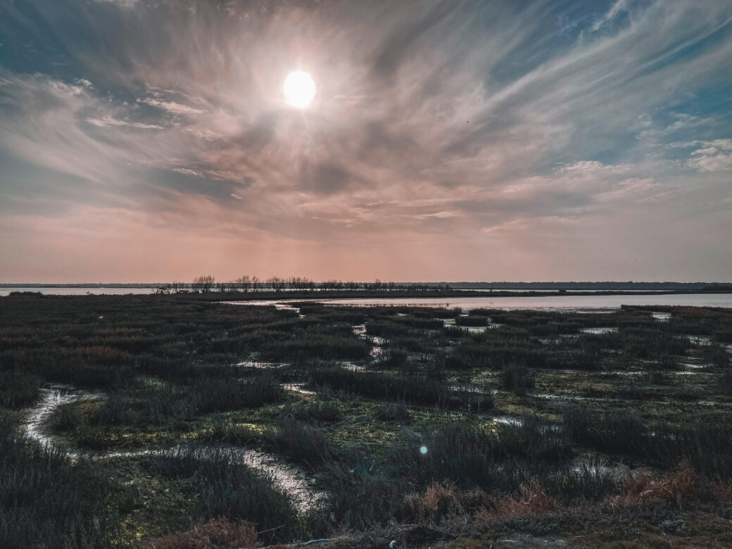 Le piallasse e i fenicotteri image