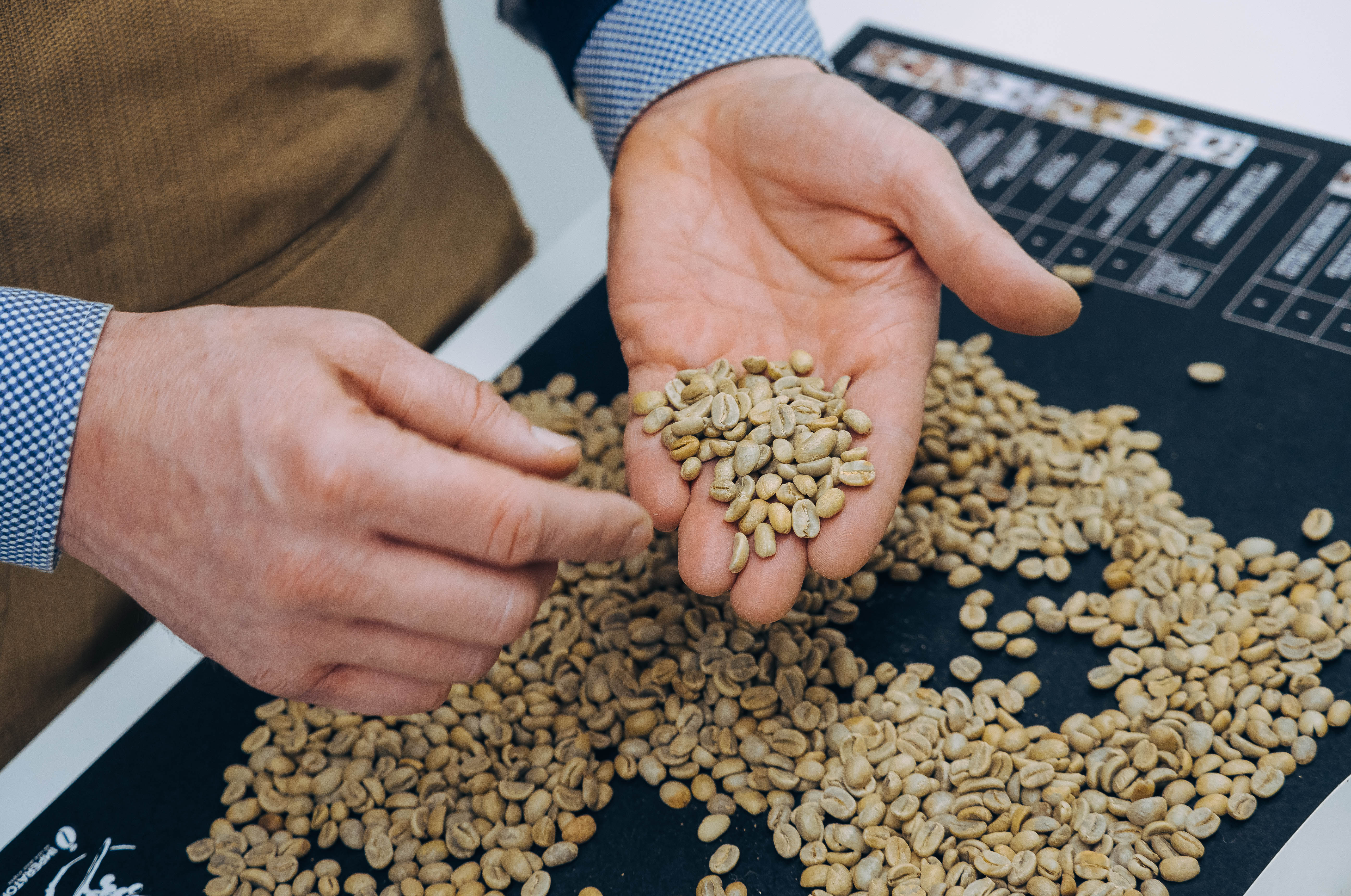 Friuli Venezia Giulia