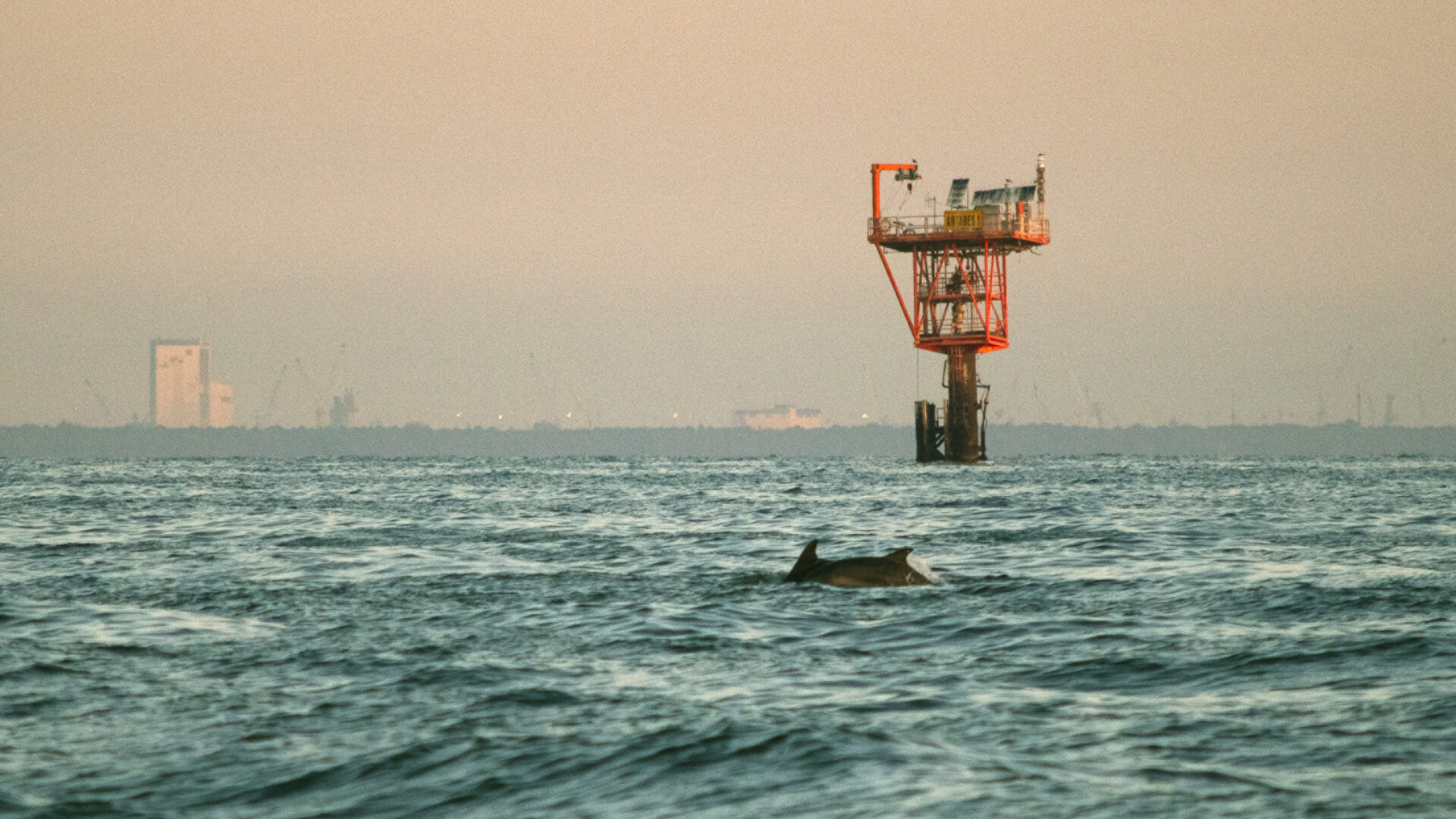 The Offshore Platform Ecosystems image