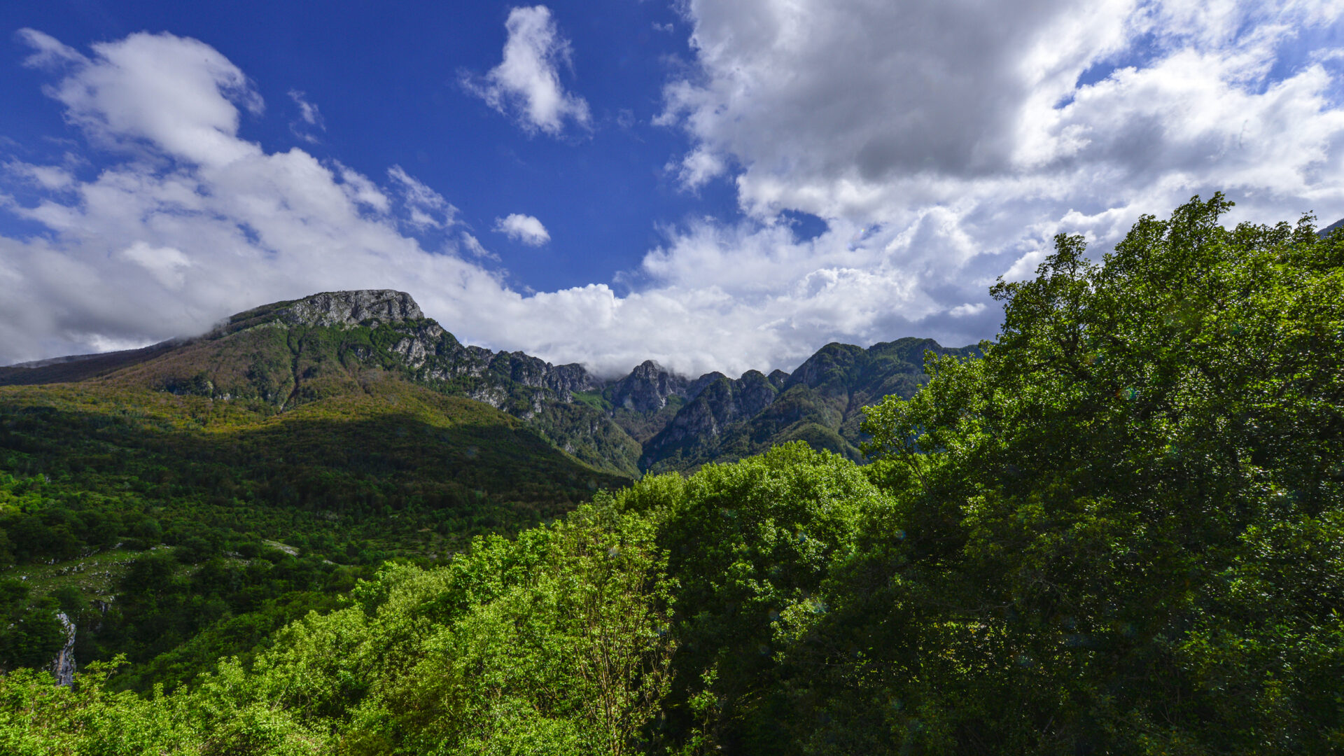 I Parchi Nazionali d’Abruzzo: un viaggio nella natura selvaggia e nella sostenibilità image