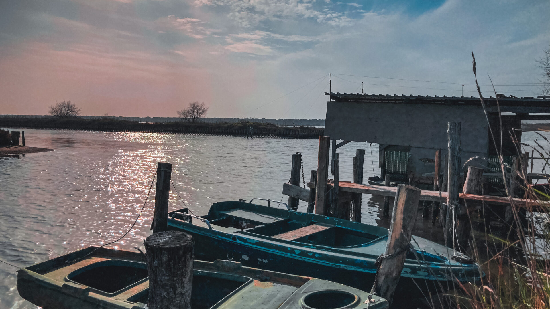 Le piallasse e i fenicotteri image