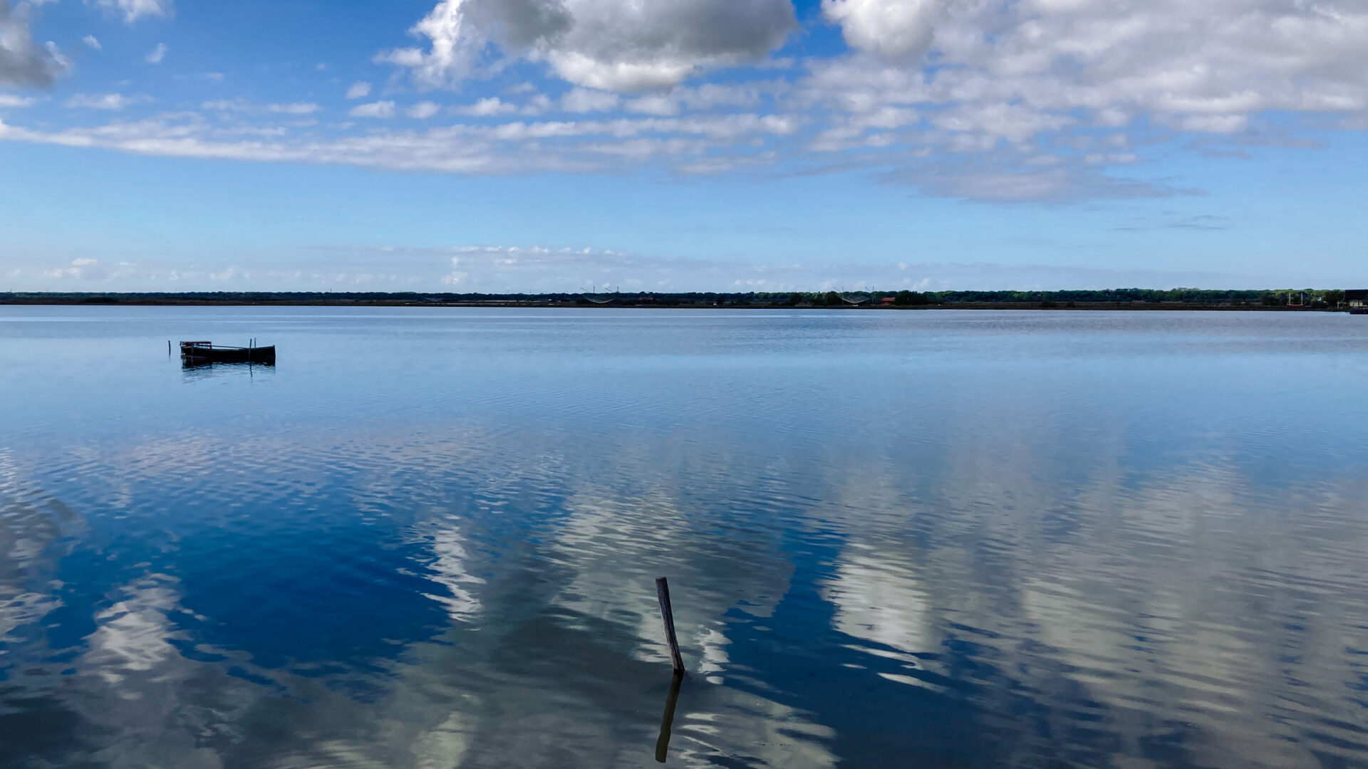 Le piallasse e i fenicotteri image