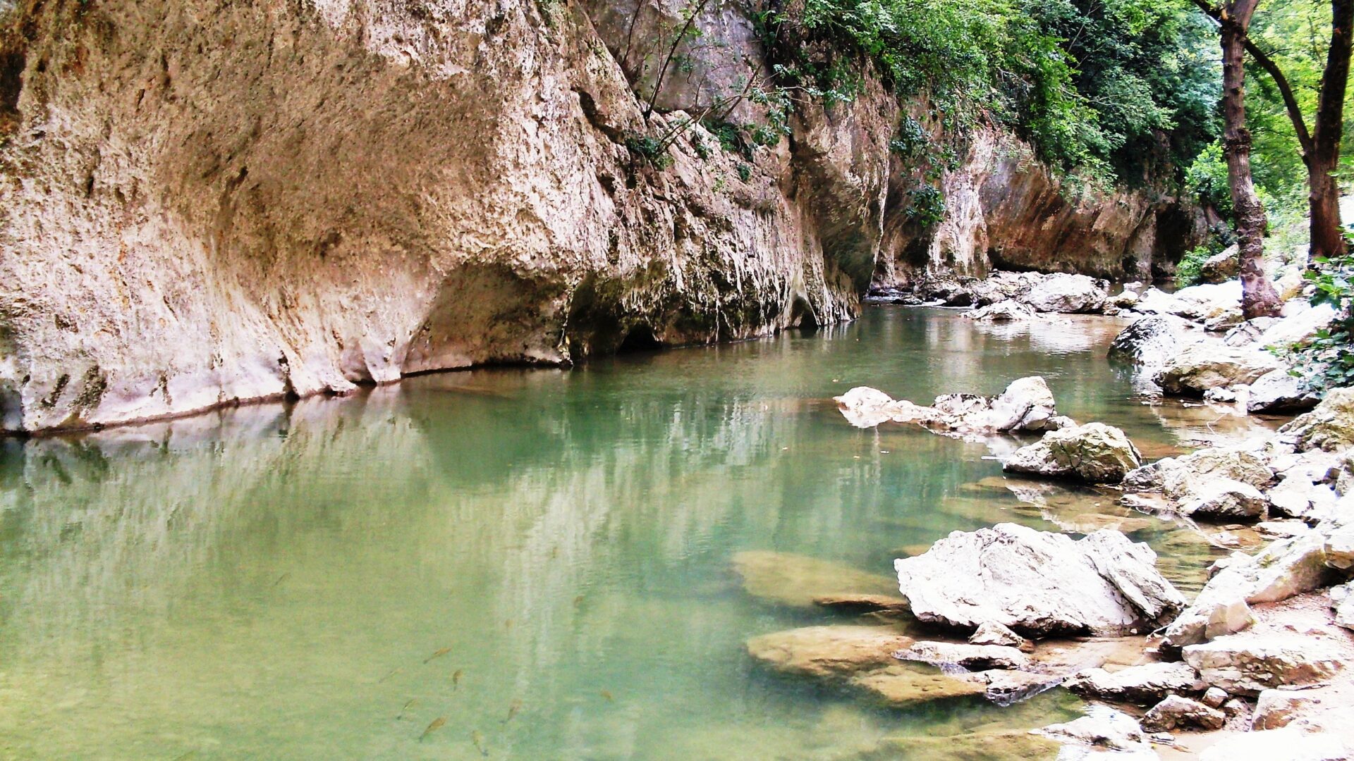 The Gola della Rossa and Frasassi Regional Nature Park: the natural wonder of the Marche region image