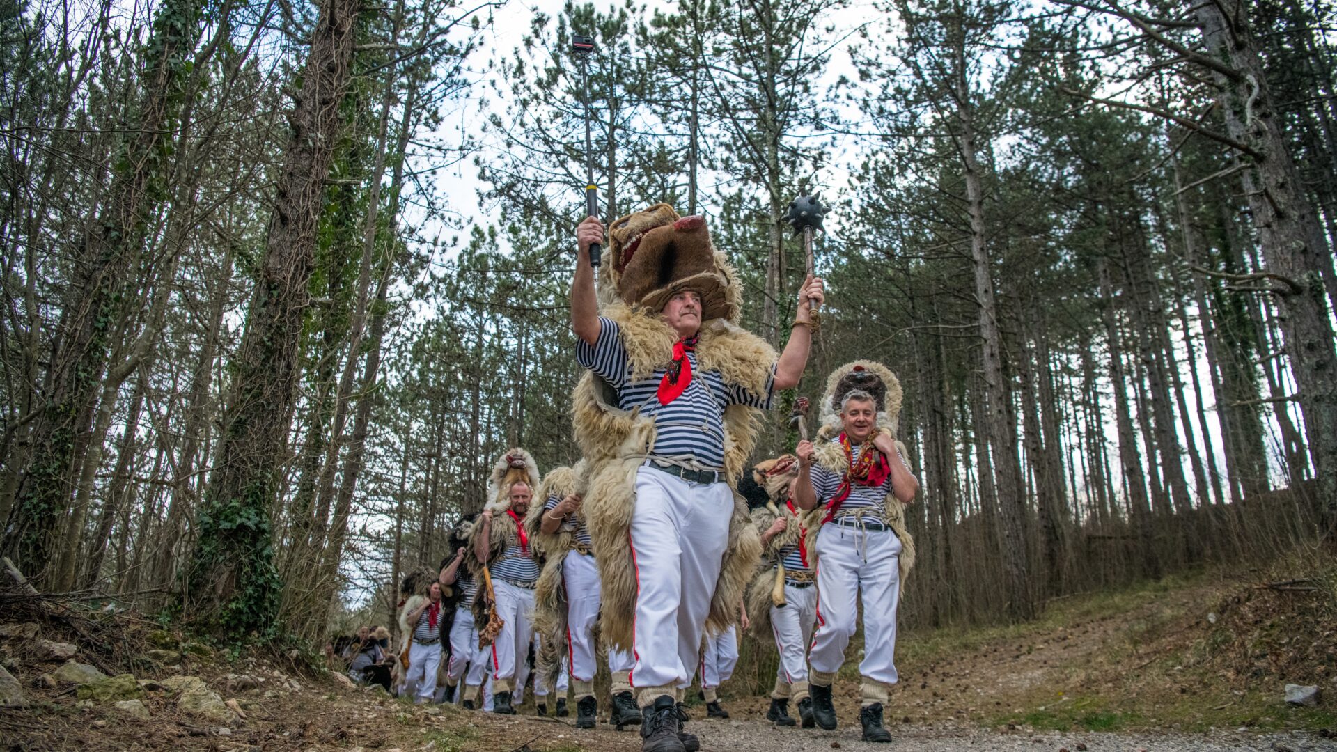 The Bell Ringers of Halubje—Tradition Keepers Protected by UNESCO image