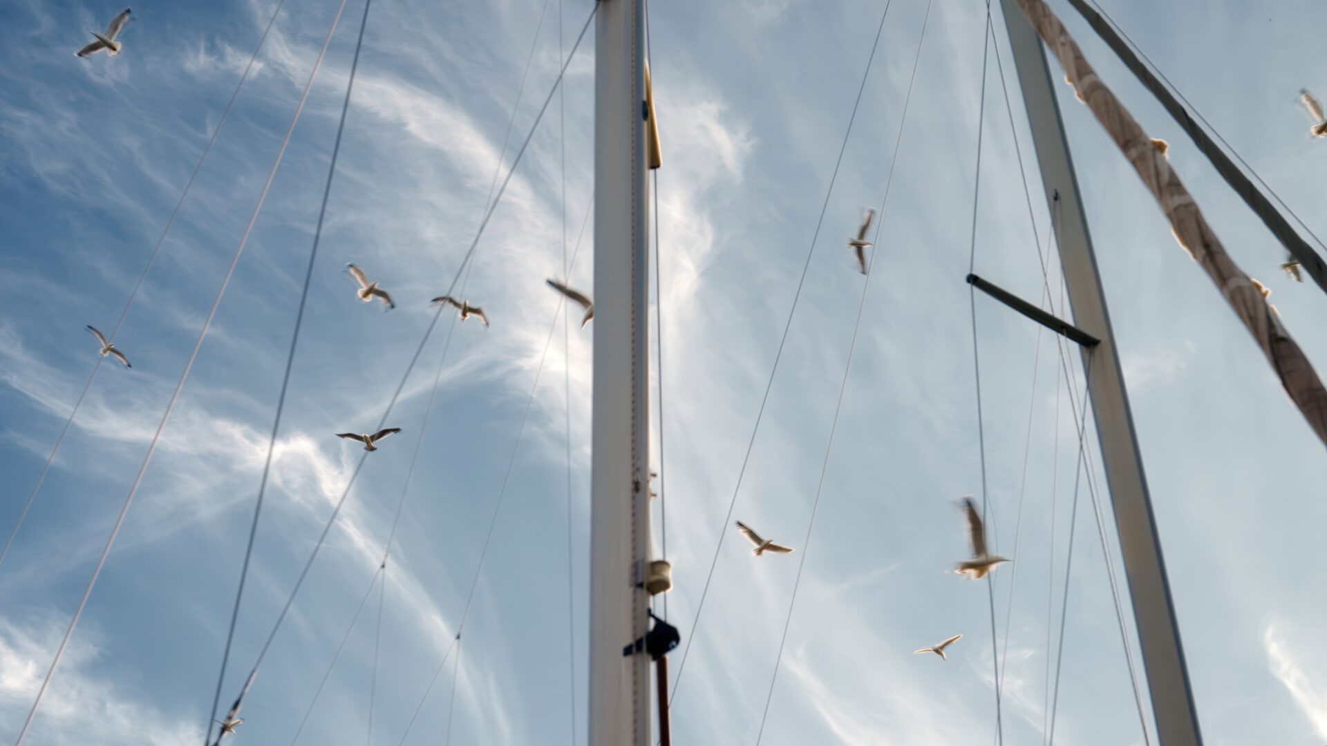 Fiumanka—Rijeka’s Festival of Sailing and the Sea image