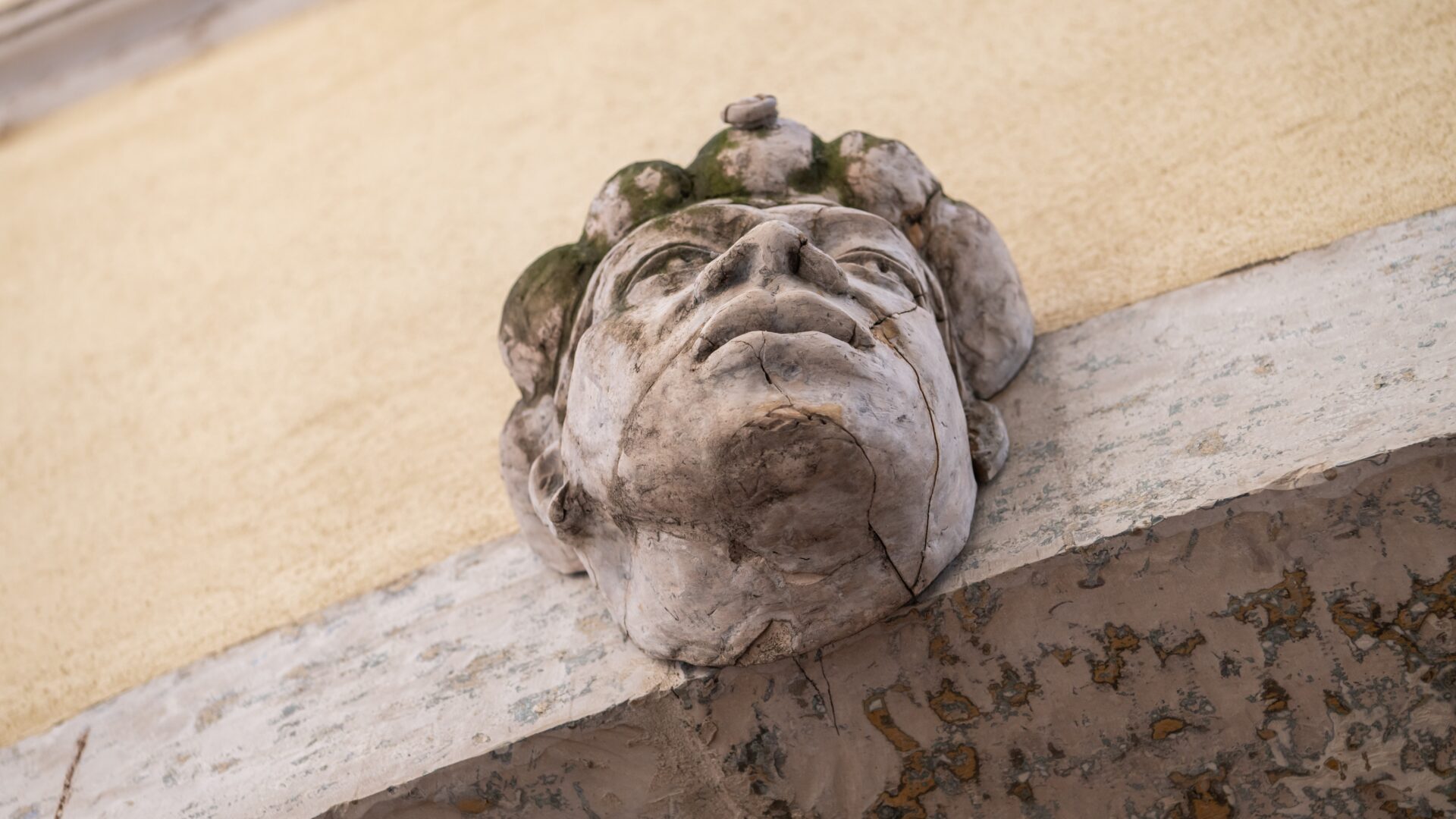 The Morčić—A Symbol of Identity, History, and Luck image