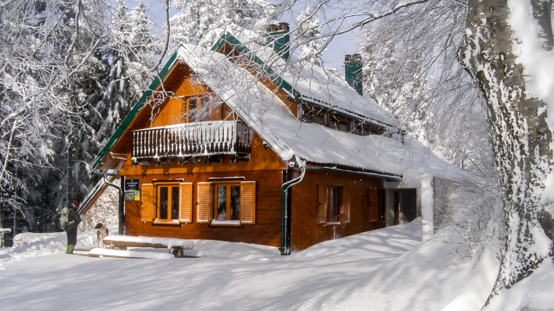 The Alps of Grobnik—A Juncture of Rocks, Views, and Hiking Tradition image