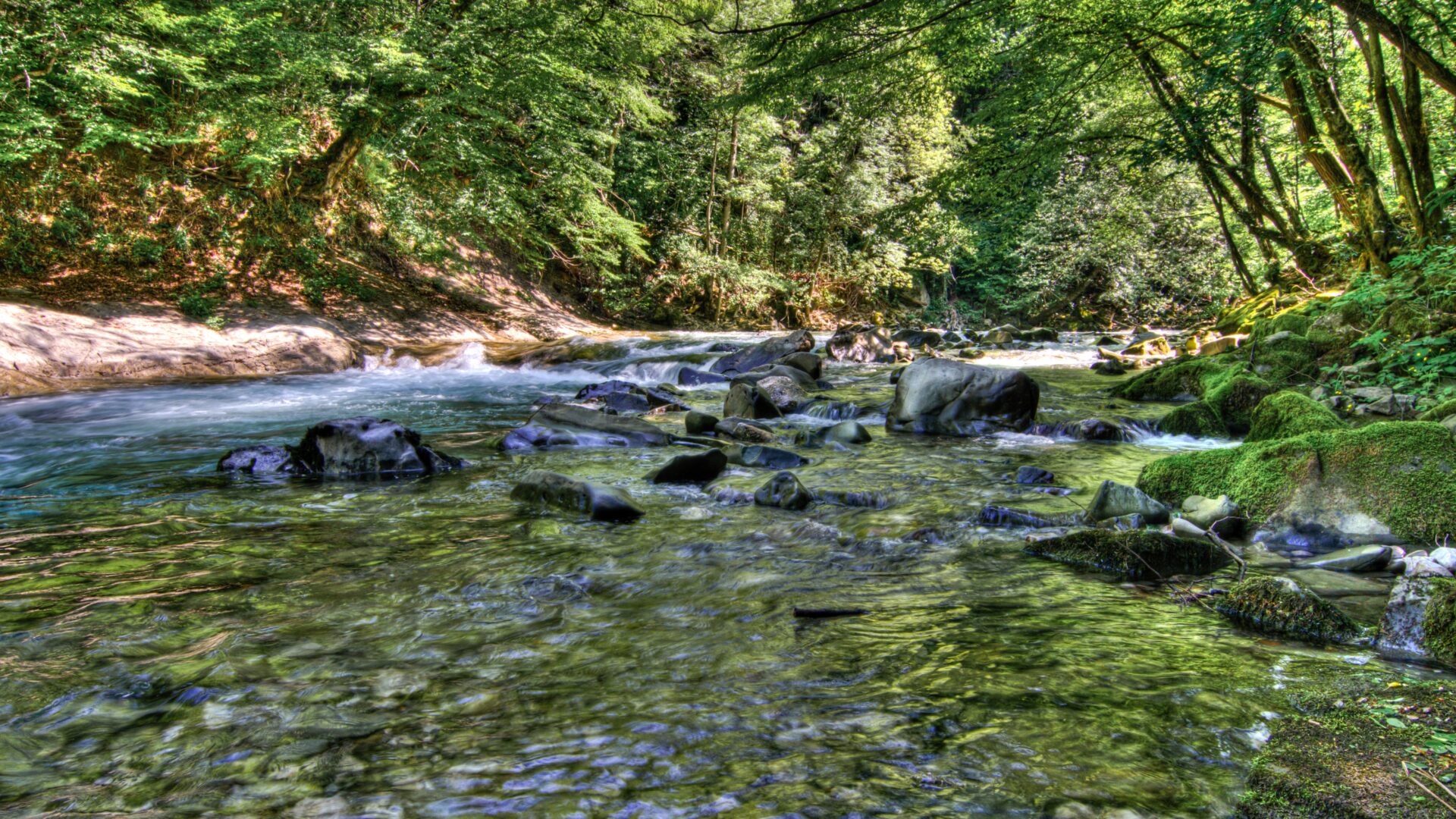 The Rječina—A Natural Oasis Within Easy Reach of Rijeka image