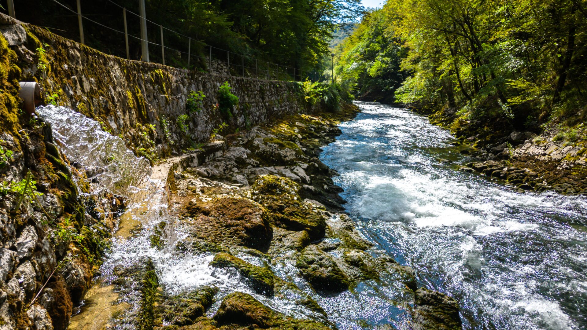 The Rječina—A Natural Oasis Within Easy Reach of Rijeka image