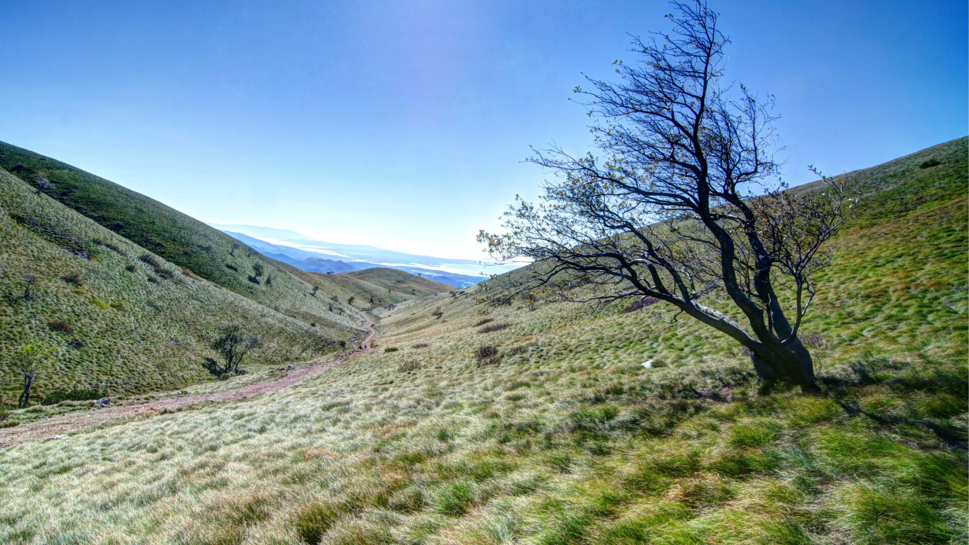 The Alps of Grobnik—A Juncture of Rocks, Views, and Hiking Tradition image