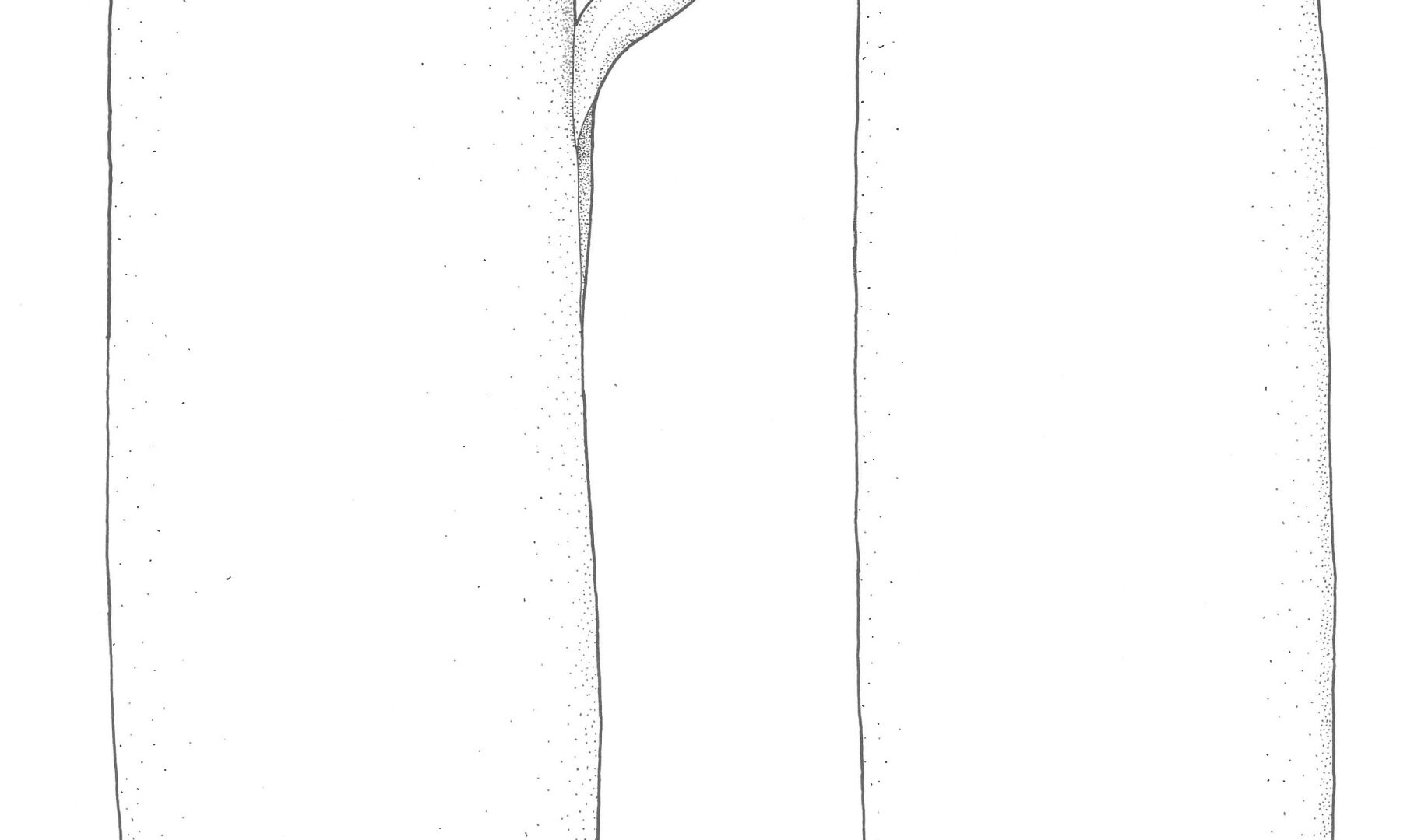 Selters prirodne gazirane vode image