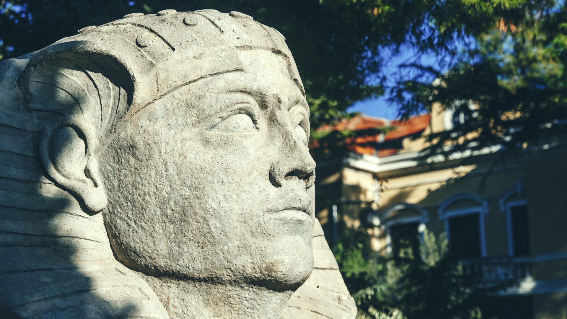 The Sphinx of Zadar image