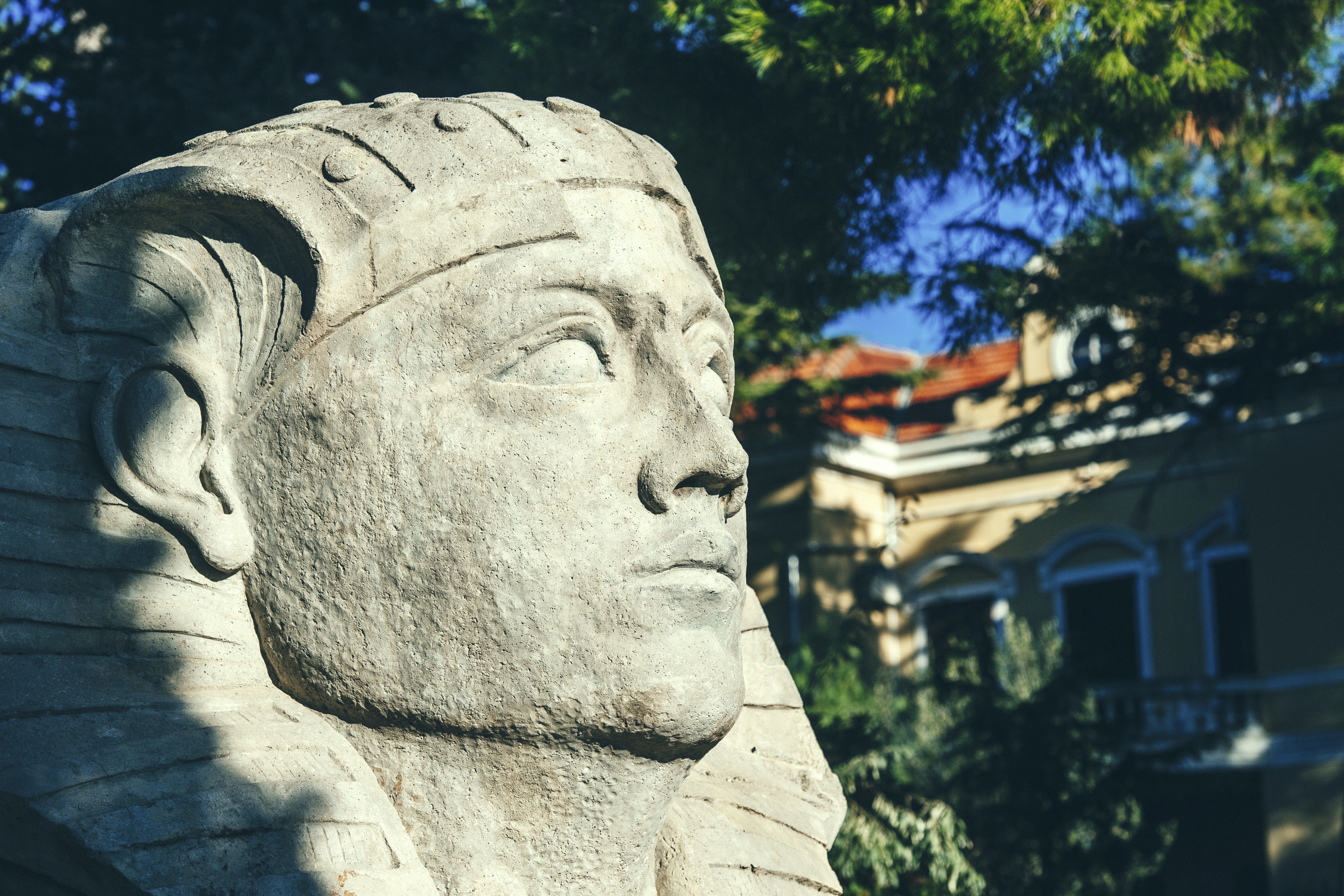 The Sphinx of Zadar - ADRIJOROUTES
