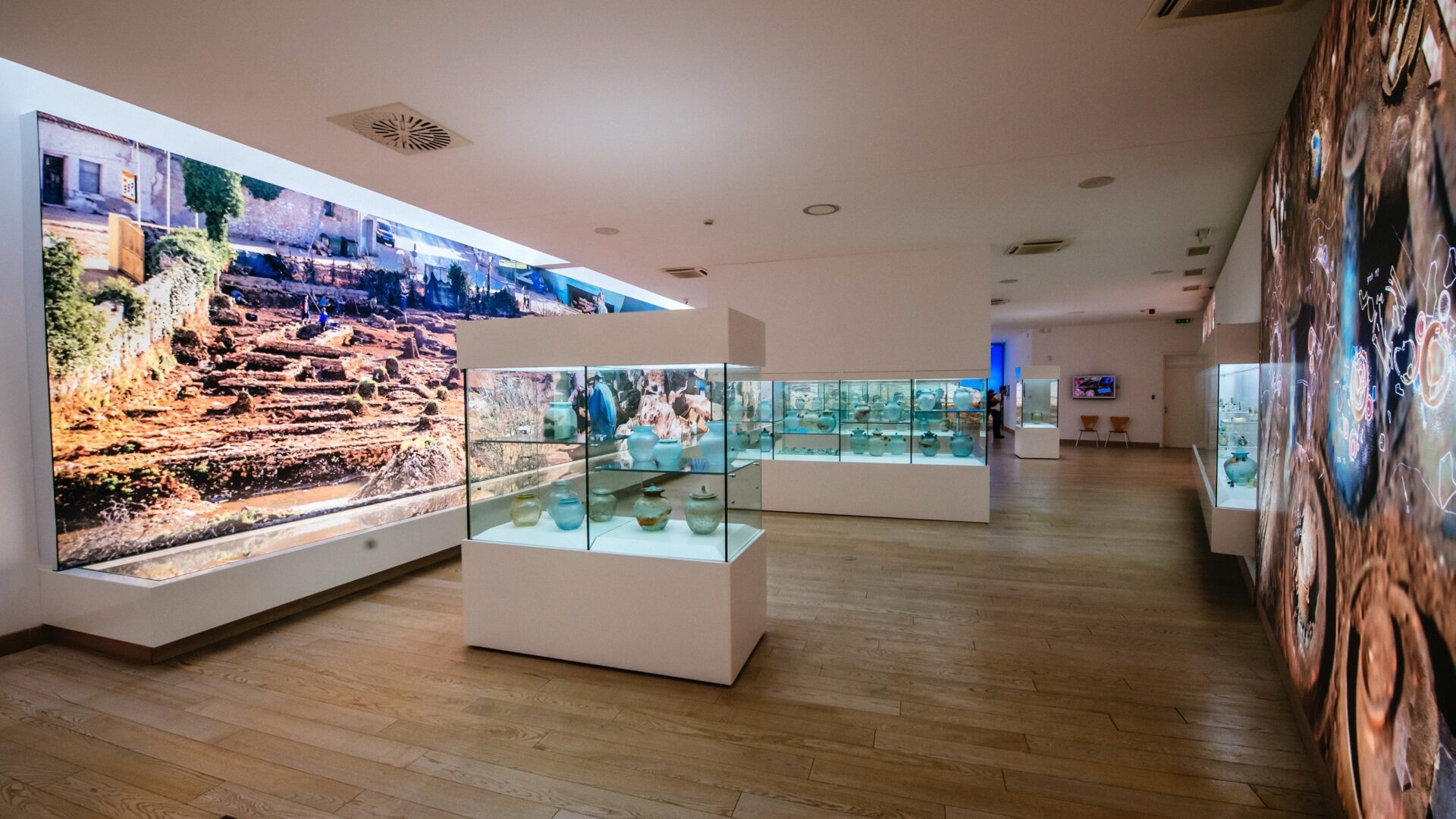 Staklena Riba Zadra image