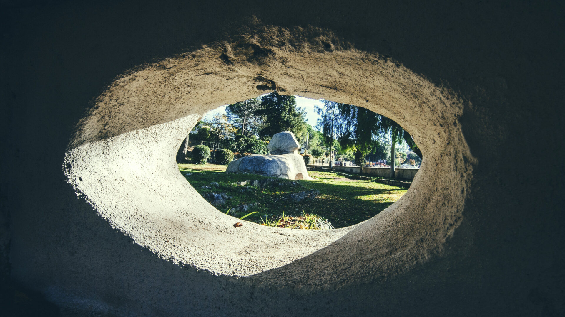 The Sphinx of Zadar image