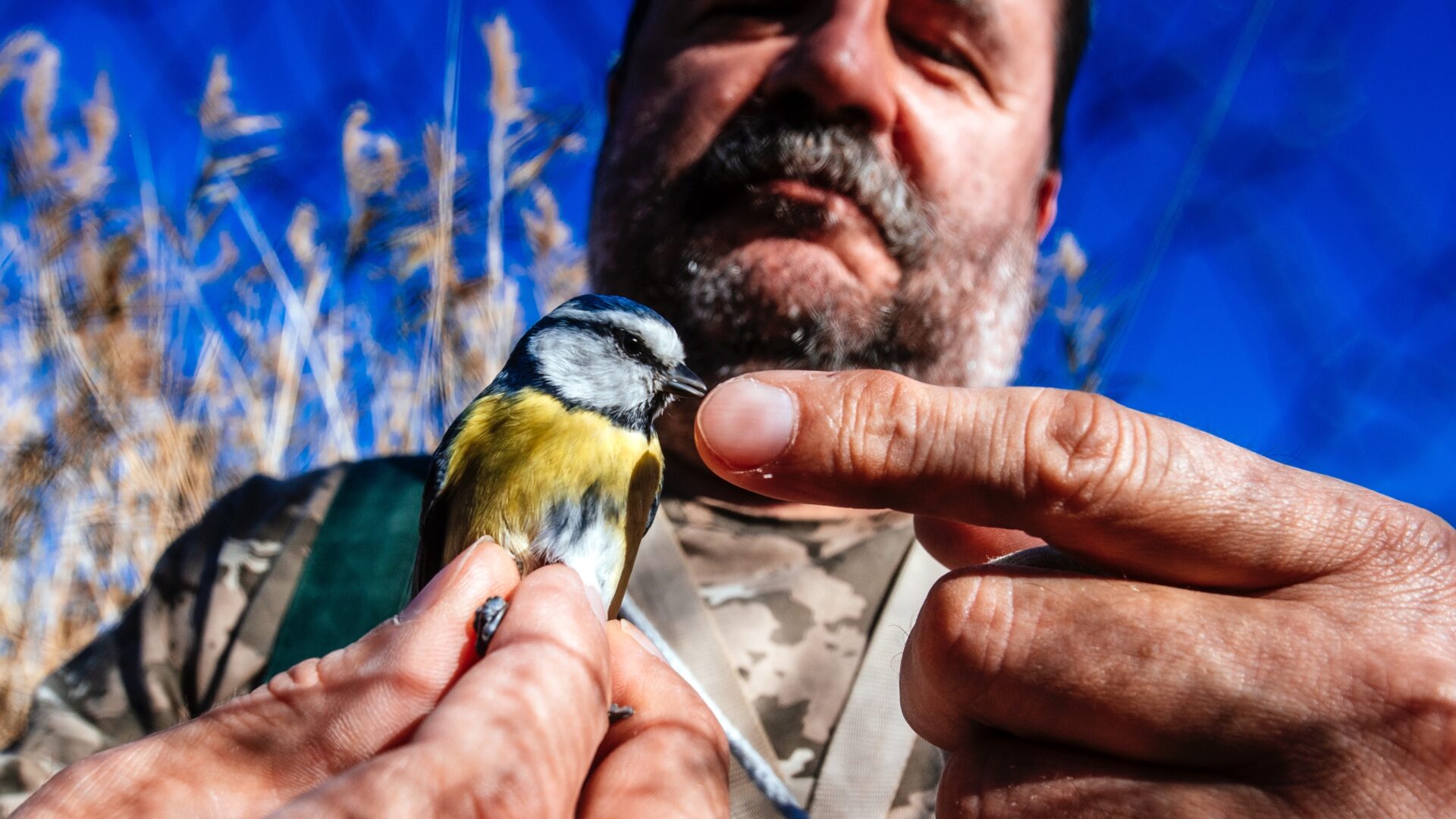 A Step from the Sea – Lake Vrana Nature park image