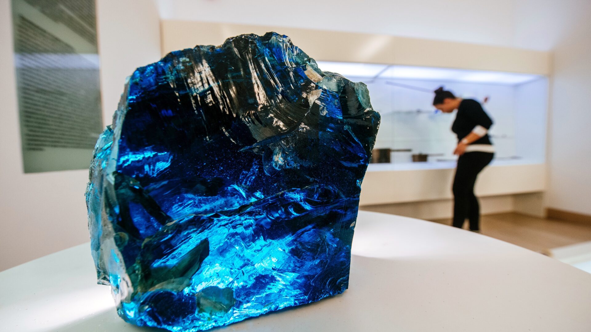 Staklena Riba Zadra image