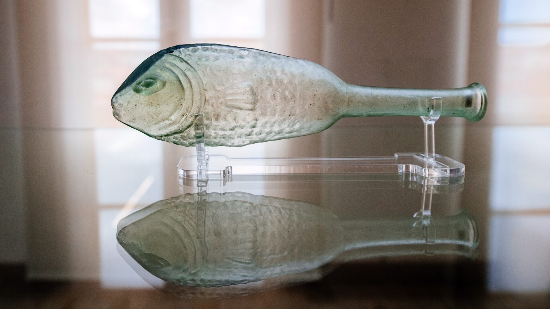 Staklena Riba Zadra image