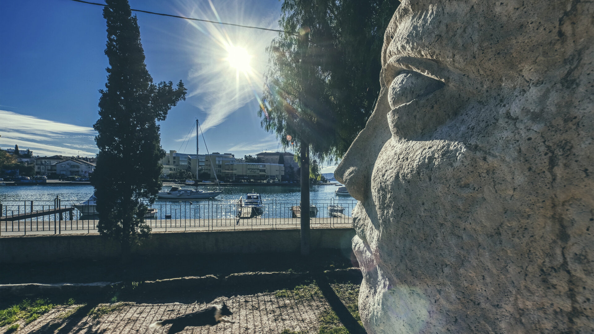 The Sphinx of Zadar image