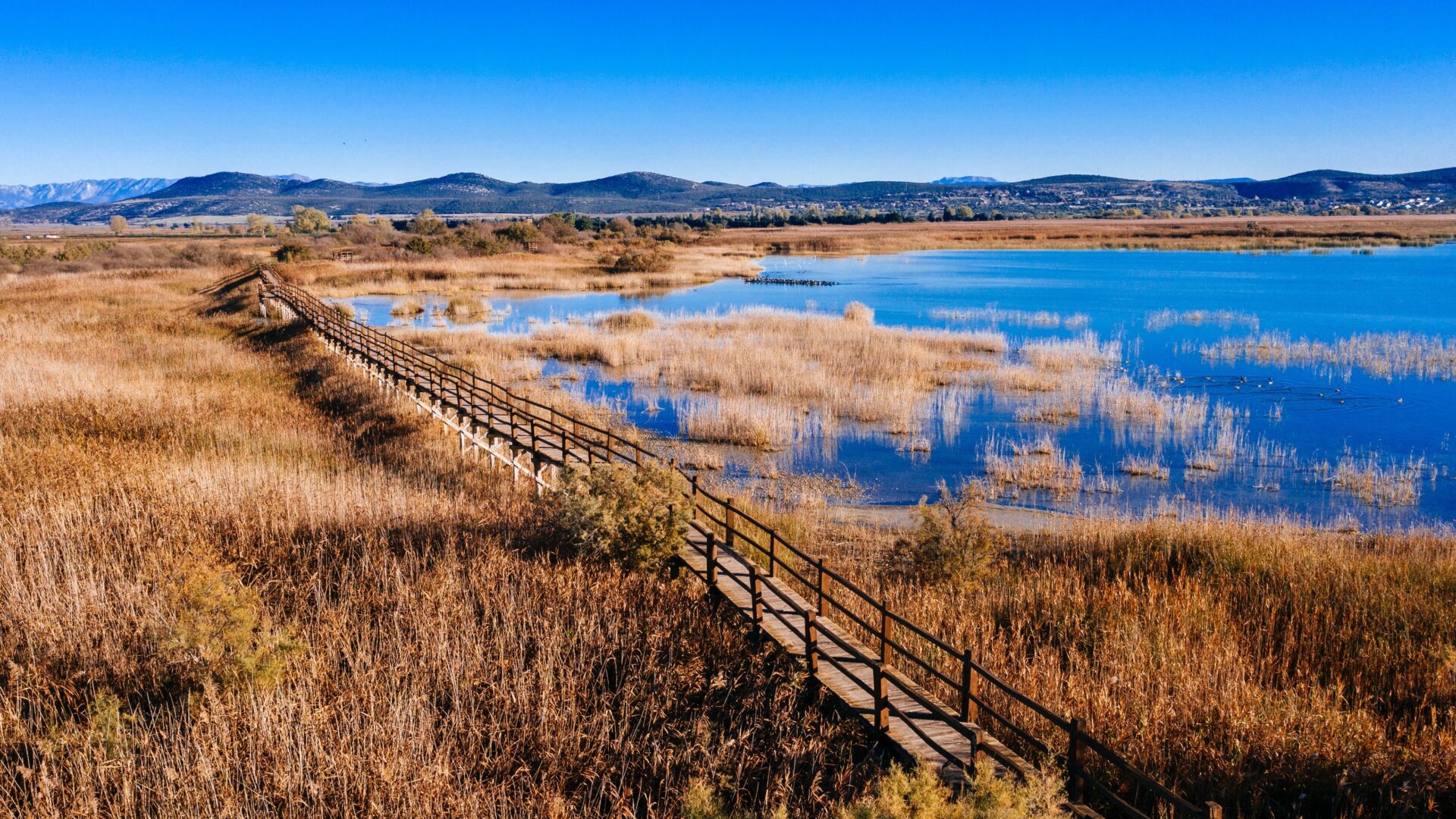 A Step from the Sea – Lake Vrana Nature park image