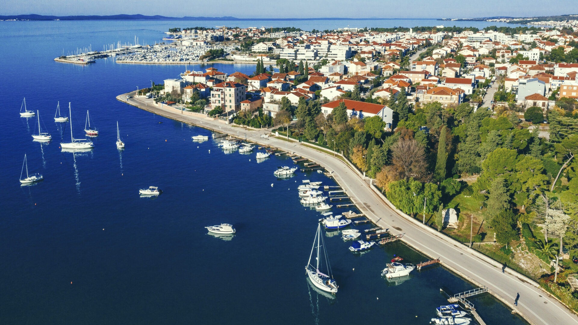 The Sphinx of Zadar image