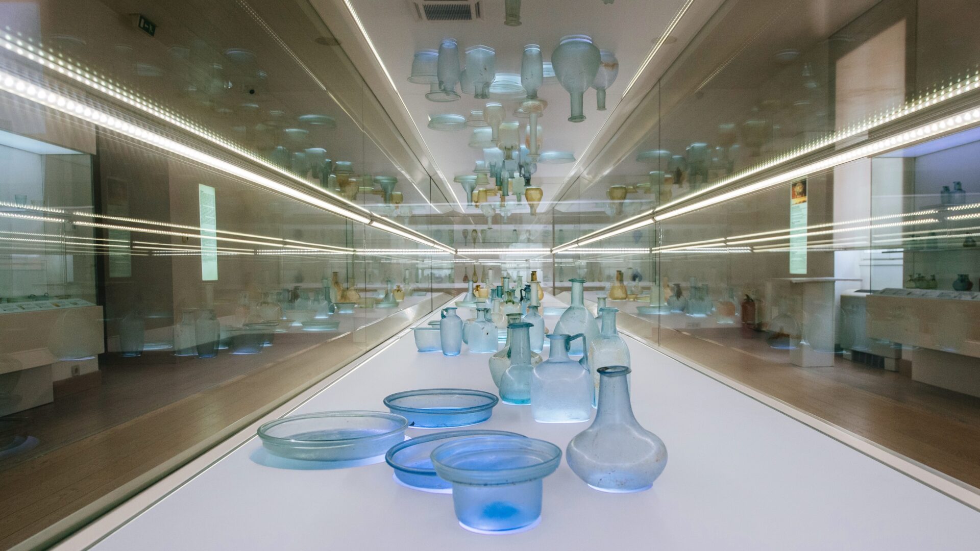 Staklena Riba Zadra image