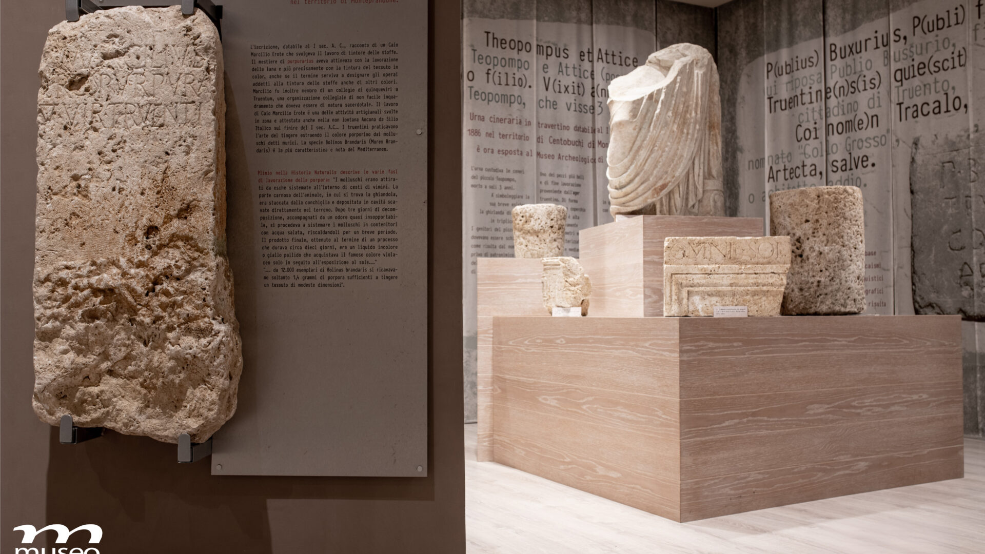 Il Museo del Mare di San Benedetto del Tronto: un viaggio tra Adriatico, memoria e scoperta image