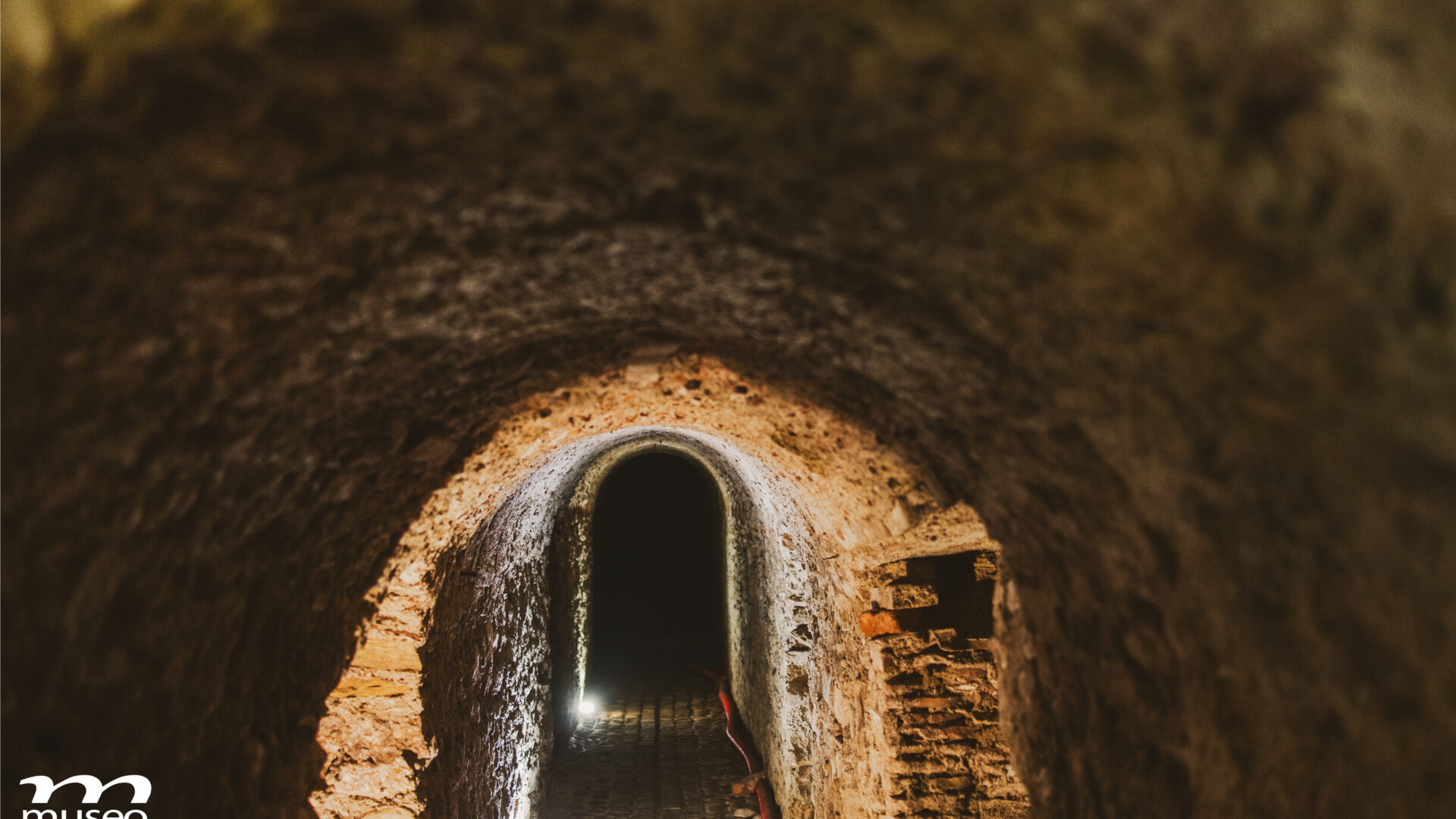 Il Museo del Mare di San Benedetto del Tronto: un viaggio tra Adriatico, memoria e scoperta image